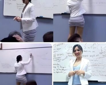 Teacher gets kicked out for PROV0V0CING her students and forces them to hav s… See mor