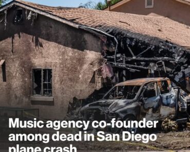 Music agency co-founder among dead in San Diego plane crash