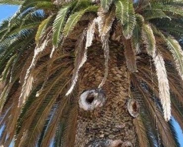 27 Innocent Photos That Prove You Have A Dirty, Dirty Mind See More… – Daily News