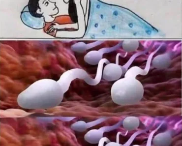 Many know! Studies reveal that swallowing your partner’s semen – vtknews.online