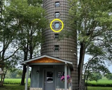 Man converted storage silo into a beautiful 2