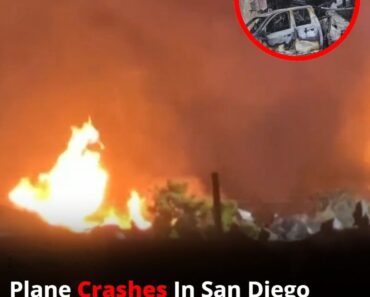 Plane Crashes Into San Diego Neighborhood Sparking Fires Across Multiple Homes – WowNews.info