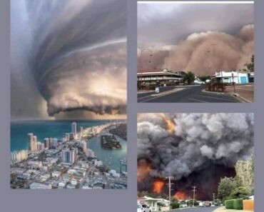 BREAKING NEWS Large HURRICANE CATEGORY forming…