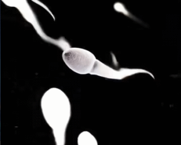 Many know! Studies reveal that swallowing your partner’s semen… See more​