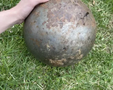 A Mysterious Giant Object Found in the Creek—No One Knows What It Is! – WowNews.info