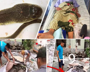 หนุ่มมาย้ายของที่บ้านเก่า ได้ยินเสียงแปลกๆในที่นอนเก่า