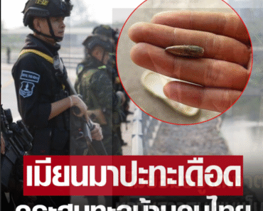 สู้รบเมียนมา ปะทะเดือด กระสุนปืนข้ามฝั่ง ทะลุหน้าต่างบ้านคนไทย การเมือง.