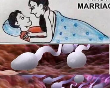 Many people know it! Studies reveal that swallowing your partner’s semen…