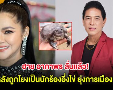 ฮาย อาภาพร ลั่นเเล้ว! หลังถูกโยงเป็นนักร้องอึ่งไข่ ยุ่งการเมือง –