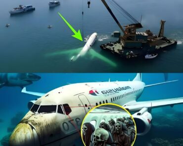 BREAKING NEWS: Lost No More? MH370’s Final Moments Have Been Found
