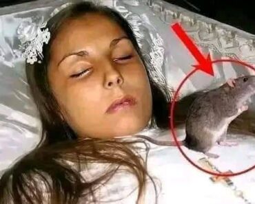 At the funeral the priest discovered that…See more