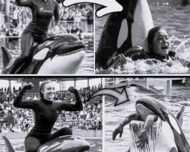 Coach Orca is Destroy by this thing while … see more