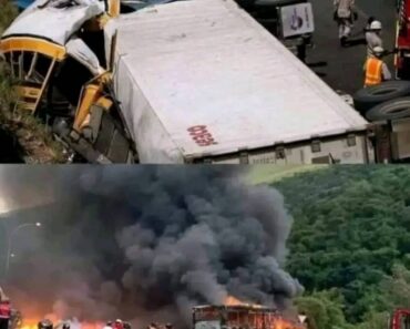 National mourning has just occurred after a massive accident that left 40…See more