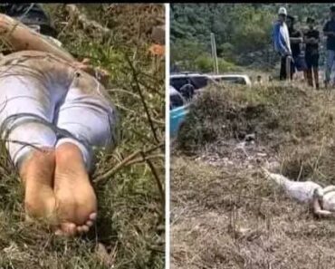 Horror This cute mother was found a moment ago without a head…See more