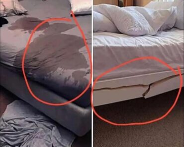 HT10. “Have You Ever Got a Bad Review from a B&B – and What Was It For?” Here’s What Hosts (and Guests) Can Learn See More – Daily News