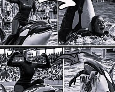 Coach Orca is Destroy by this thing while
