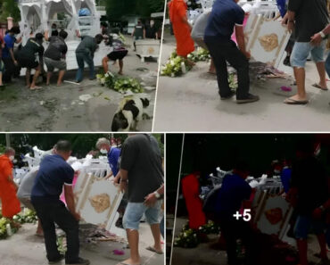 ผงะ คนขับรถลากศพทำโลงศพคว่ำ – Daily News