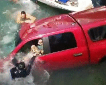 Good Samaritans Restored Faith In Humanity By Rescuing Drowning Elders And Their Pet Chihuahua  Video in the comments – Daily News