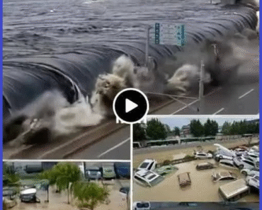A 9.1 magnitude earthquake also caused a tsunami in the city of… See more