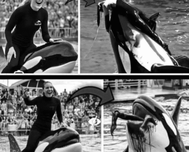 Coach Orca is Destroy by this thing while … see more