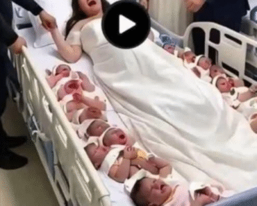 A 23-year-old woman gives birth to 14 children in… See More