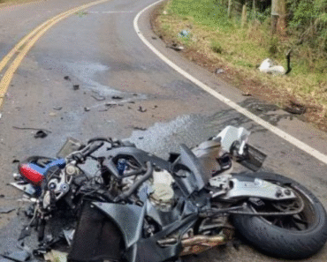 Much pain and sadness, the dear pi died in a very serious accident…see more