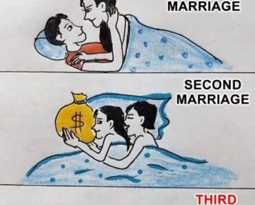 What Does The Image Reflect?