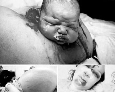 Mother gives birth in the middle of…see more