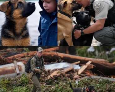 CLOSE UP MIRACLE! Heroic K9 and Police Officer Save Girl Swept 20 miles Away by Floodwaters in Texas — Summer Camp Nightmare Turns into MIRACLE!- nyny