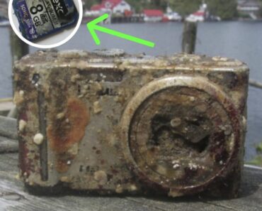 Diver Develops Film From Camera Found At Bottom Of Sea, Freezes Up When He Sees Face – Tiny House Zone