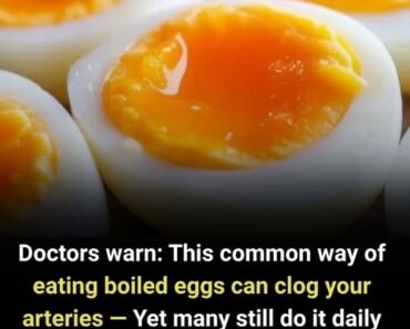 Doctors W.arn: This Common Way of Eating Boiled Eggs Can Clog Your Arteries – PrimeDialy