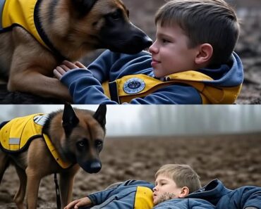 SILENT CRIES, LOUD HEROISM: When a nonverbal autistic boy went missing during the chaos of the flood, hours ticked by in agonizing silence. No voice called out, no sound to guide the search. But one K9 listened with more than ears — and followed a scent to the river’s edge, where the boy lay shivering, barely conscious. No one heard his cries. But the dog did. And that was enough to bring him home. ️. nhathung SILENT CRIES, LOUD HEROISM: When a nonverbal autistic boy went missing during the chaos of the flood, hours ticked by in agonizing silence. No voice called out, no sound to guide the search. But one K9 listened with more than ears — and followed a scent to the river’s edge, where the boy lay shivering, barely conscious. No one heard his cries. But the dog did. And that was enough to bring him home. ️. nhathung