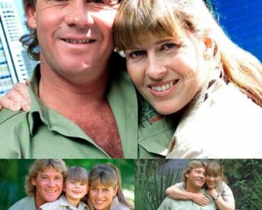 Terri Irwin shares her emotional journey nearly two decades after losing Steve.