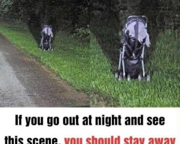 Woman issues terrifying warning after finding a stroller abandoned on the side of the road – PrimeDialy