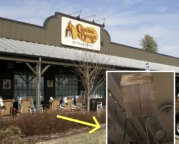 Cracker Barrel Issues Apology After Backlash Over Controversial Décor – Daily News