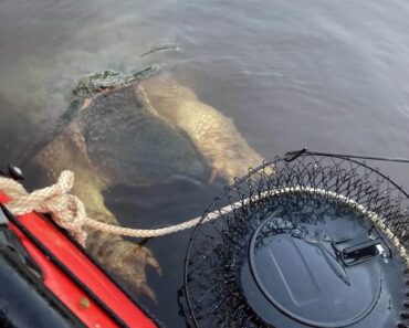 River ‘monster’ with enormous ‘bear-like’ claws terrifies mother and daughter