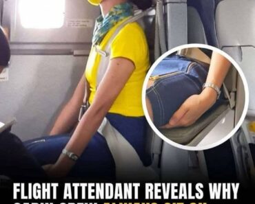 Here’s Why Flight Attendants Sit On Their Hands During Takeoff and Landing –