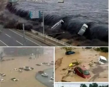 Reports here, unbelievable earthquake with large magnitude tsunami