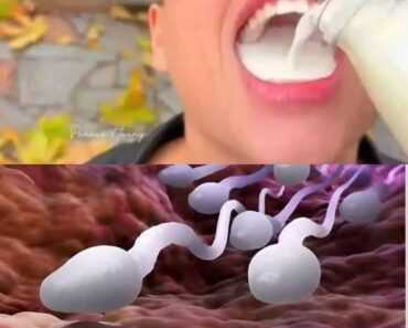 !! DOCTORS reveal that SWALLOWING your partner’s semen prov…See more – todayusafast24h.online – Daily News