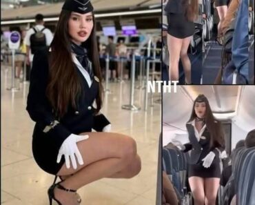 INCREDIBLE what happened on this airline: Flight attendant unleashes the… – VM News