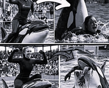 Coach Orca is Destroy by this thing while … see more