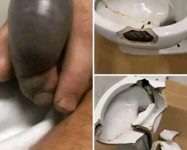 He went to the bathroom without knowing that there was a…See more – B C N E W S 1 6 8
