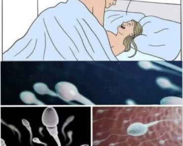 Many know! Studies reveal that swallowing your partner’s semen…See more